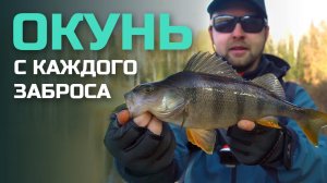 Приманки на ОКУНЯ | Силикон работает