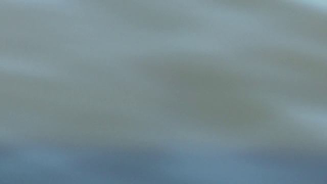 O, vieni a la finestra, О, слава, богатство суетное (два идеала). Дмитрий Степанович