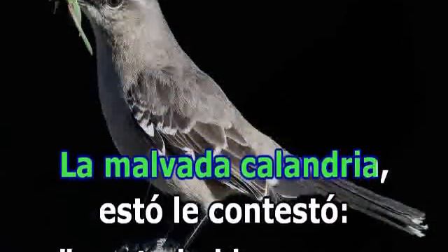 Pedro Infante - La Calandria (Karaoke).wmv смотреть онлайн