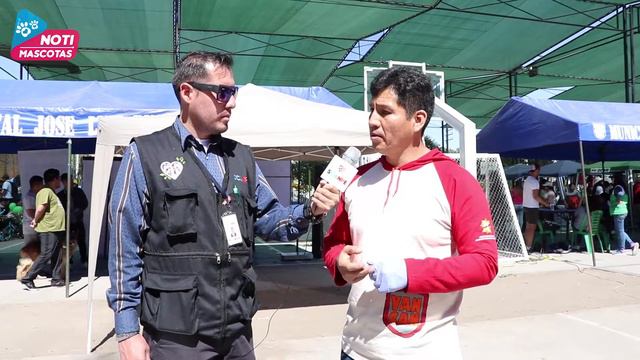 Festival Canino José Luis Bustamante y Rivero, Arequipa смотреть онлайн