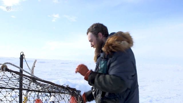 Crabbing beneath the Bering Sea Ice in Nome, Alaska | INDIE ALASKA смотреть онлайн
