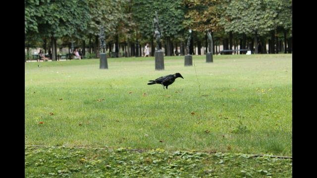 Roman Turovsky, Sarabande "In principio" смотреть онлайн