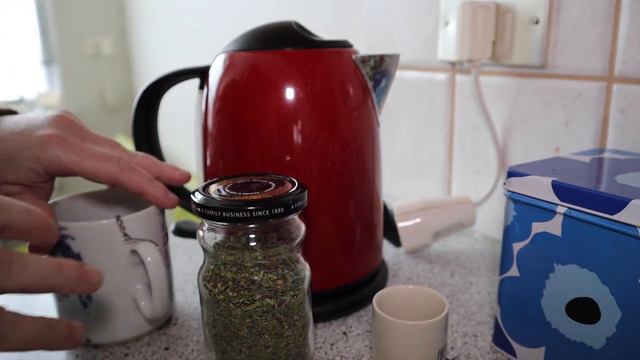 Icelandic chanting - Cat and Tea смотреть онлайн