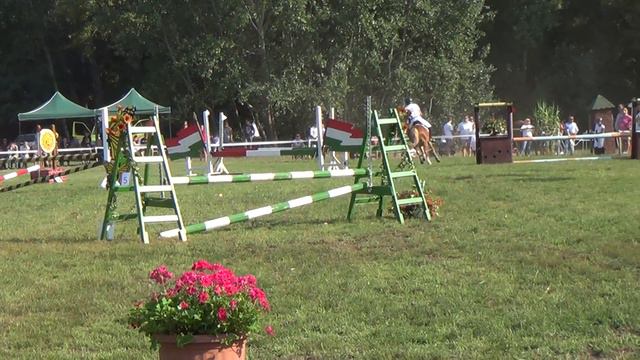 Marton Mirella - Vígó Stílus - Ballószög O.D 2016.09.04 смотреть онлайн