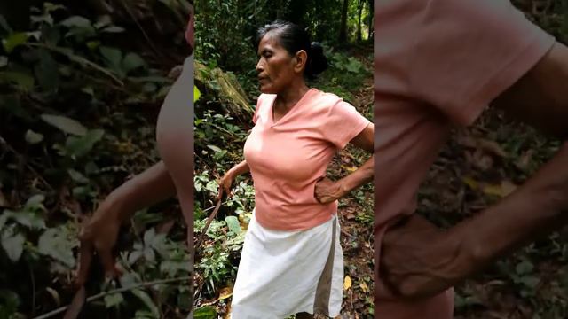 señora Juanita Kekodi INSTITUTO GENIUS COSTA RICA CARLOS ROMAN ASCH смотреть онлайн