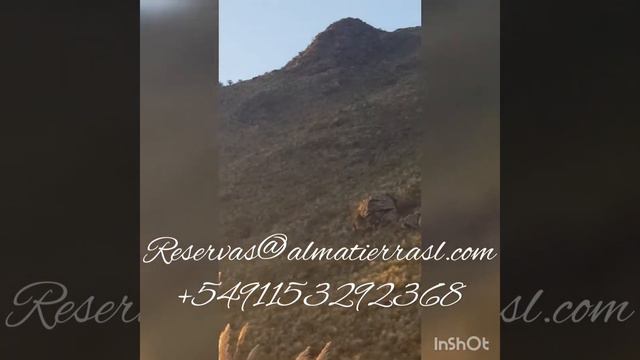 Alma Tierra cabañas Merlo San Luis смотреть онлайн