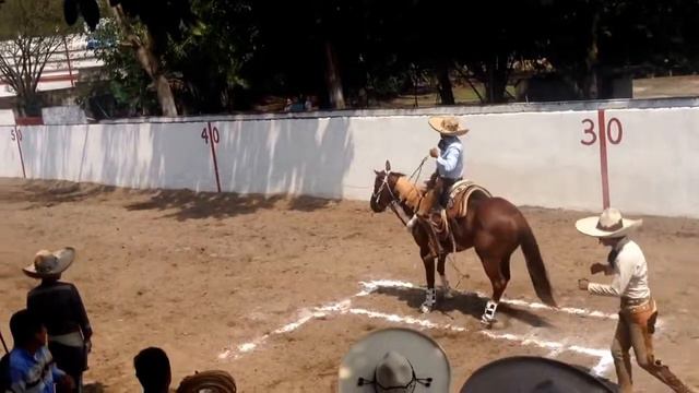 Pial Santiago Todd, Torneo DIF Martínez de la Torre, Ver... marzo 22, 2014 смотреть онлайн