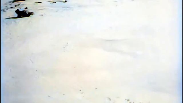 Nanook of the North (1922) [50fps, colorized] смотреть онлайн