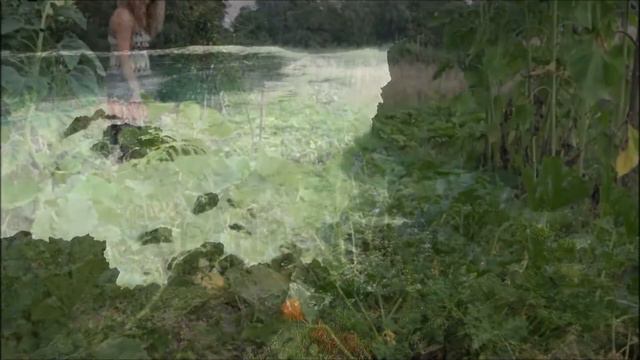 Slim Whitman - - - - Galway Bay { Best Video } смотреть онлайн