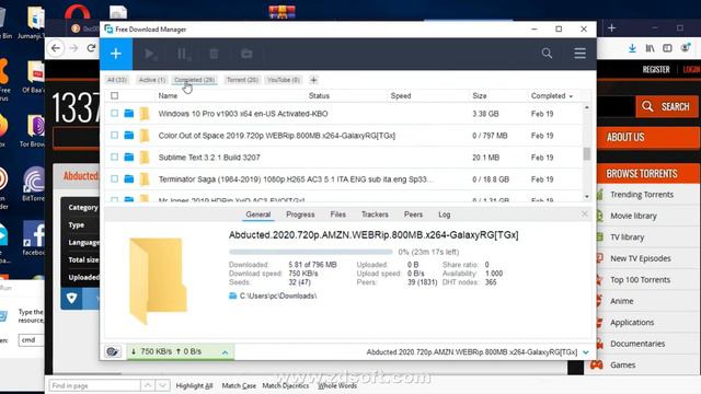 free download Manager (FDM) смотреть онлайн