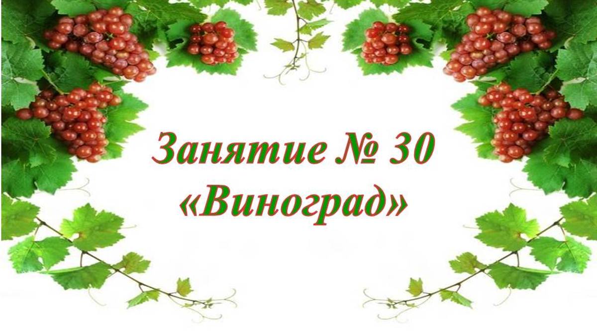 Кружок Фантазеры Занятие № 30 Виноград смотреть онлайн