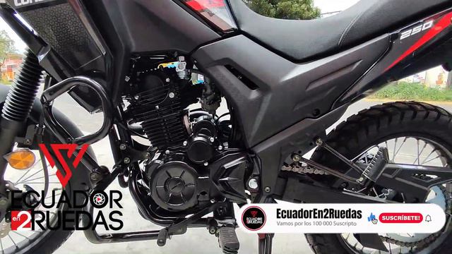 Loncin Ms250 vs Daytona Tekken 250 Ficha técnica, características, precio смотреть онлайн