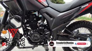 Loncin Ms250 vs Daytona Tekken 250 Ficha técnica, características, precio