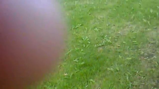 Koimla Sumpenstaar смотреть онлайн