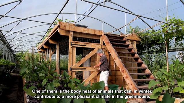 Introduction to permaculture смотреть онлайн