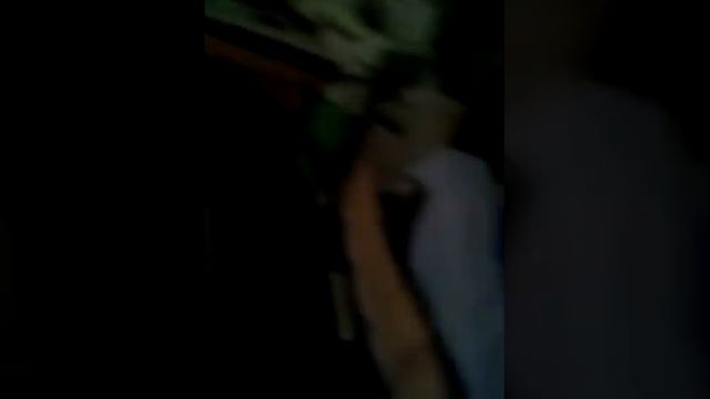 Крыска Марфа Васильевна проснулась смотреть онлайн