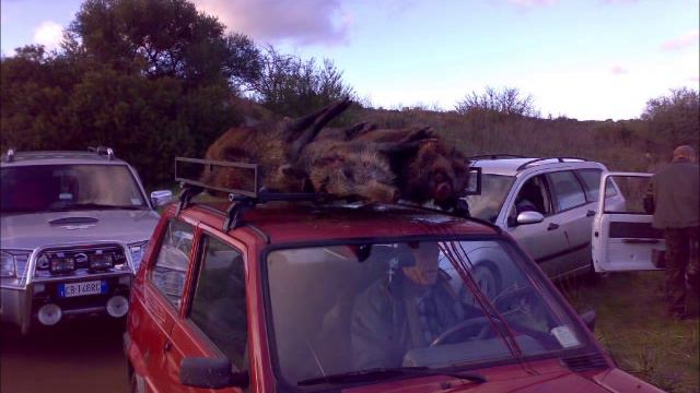 Caccia Grossa Orotelli смотреть онлайн