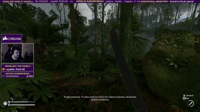 Testujemy POLSKI SURVIVAL - Green Hell / 02.10.2018 (#1) смотреть онлайн