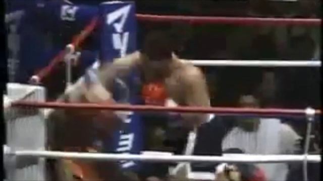 Ray Sefo - Top 10 Knockouts / Finishes смотреть онлайн