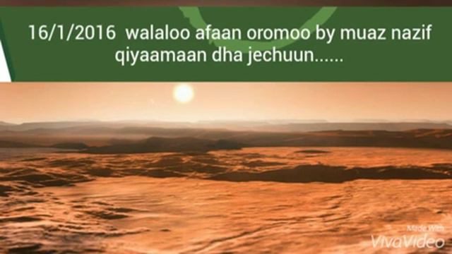 Walaloo afaan oromoo by muaz nazif qiyaamaan смотреть онлайн