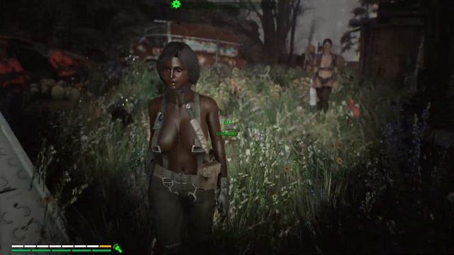 Fallout 4 modded SURVIVAL Playthrough - Part 26 смотреть онлайн
