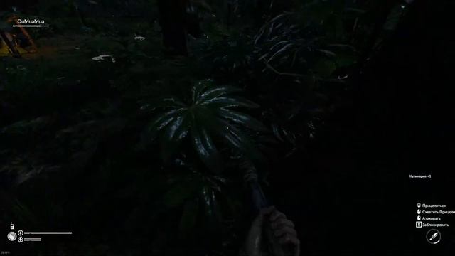 НАЧИНАЕМ СЮЖЕТКУ КООРПЕРАТИВНЕНЬКО !! GREEN HELL ПЕРВЫЙ ЗАПУСК , ПРОХОЖДЕНИЕ С НУЛЯ ! смотреть онлайн