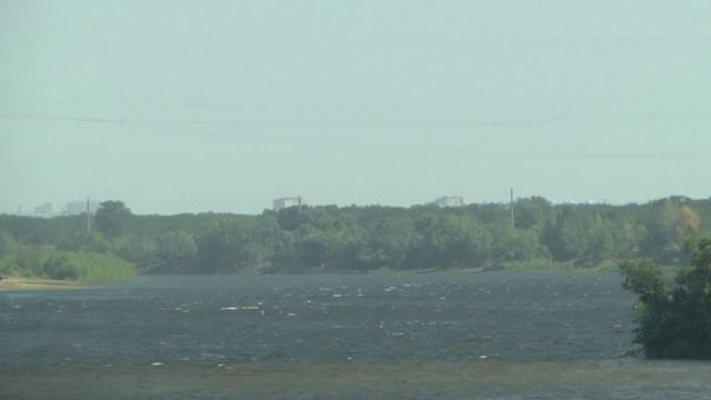 Дунаевский. Колыбельная из фильма Цирк. Евгения Малеева, Дмитрий Степанович