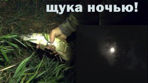 Рыбалка 17 сентября очень поучительная! Щука ночью!