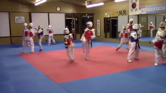 Nov 2016 Sparring Highlights (Shin's Taekwondo Academy) смотреть онлайн
