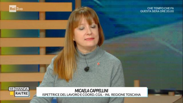 RAI3 MI MANDA RAI3 - ANMIL, Ispettori lavoro e Cesare Damiano (Inail) - (15-01-2023) смотреть онлайн