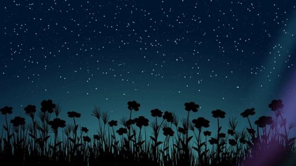 Duncan Laurence - Arcade (Lyrics) TikTok Version