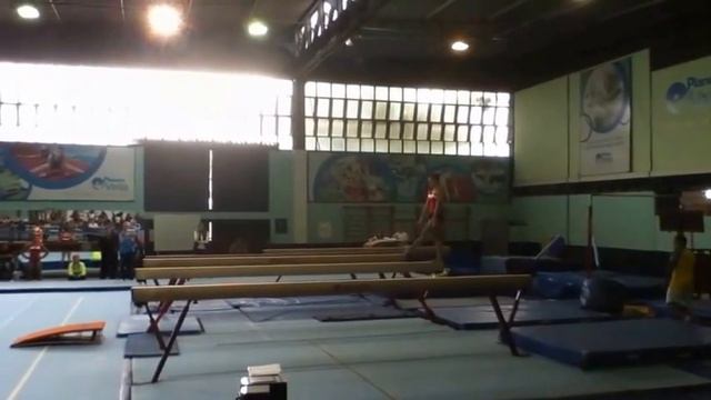 Jade Barbosa AA - National Training Camp 2014 смотреть онлайн