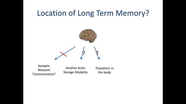 Forsdyke Evolution Academy Lecture 05 Mind, Information, and George Romanes смотреть онлайн