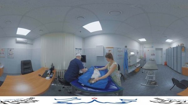 Виртуальный тур по ветеринарной клинике BlackVR