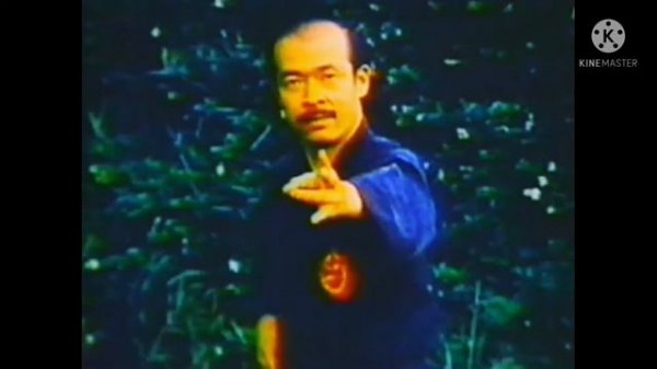 Real Grand Master of Japan ninja kancho Tanemura shoto