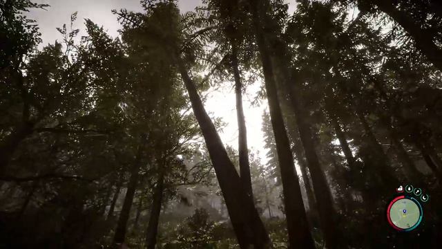 Sons of the forest #1. смотреть онлайн