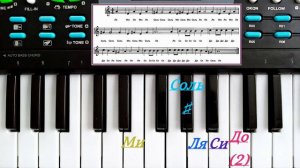 Учимся играть _В траве сидел кузнечик_ на синтезаторе