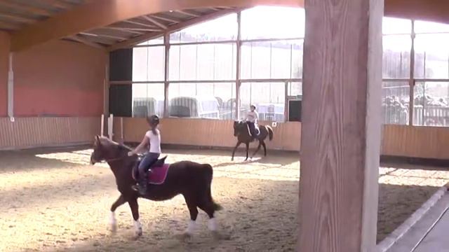 Nils, Lehrgang Wolfgang Mengers смотреть онлайн