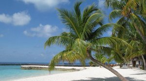 Путешествие на Мальдивы. Maldives vacation.  Nakai Dhiggiri Resort