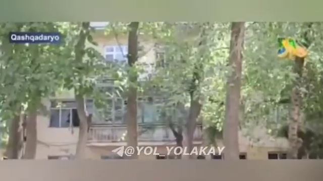 Murod Xonto‘rayevning shogirdi o‘ldirib ketilgani haqida смотреть онлайн