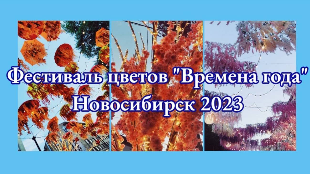 Фестиваль цветов г.Новосибирск.Июль2023 #новосибирск #novosibirsk