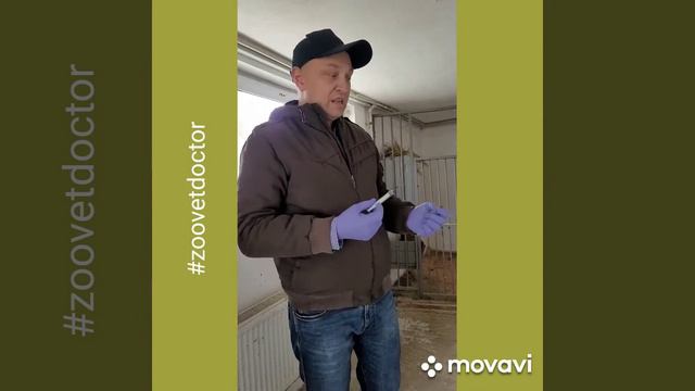 История спасения маленького ребёнка, интересные истории спасения, ветеринар Ушаков Дмитрий блогер смотреть онлайн