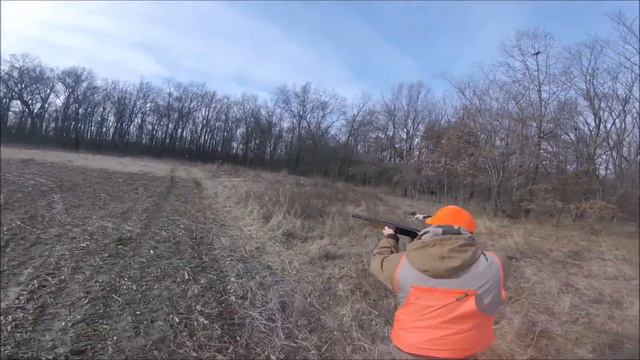 Brad, Logan County QUGA Pheasant and Quail Hunt смотреть онлайн