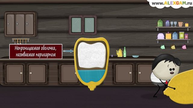 Почему попкорн лопается? смотреть онлайн