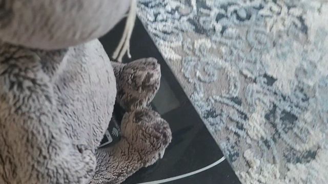 басики на диете . конфетные друзья смотреть онлайн