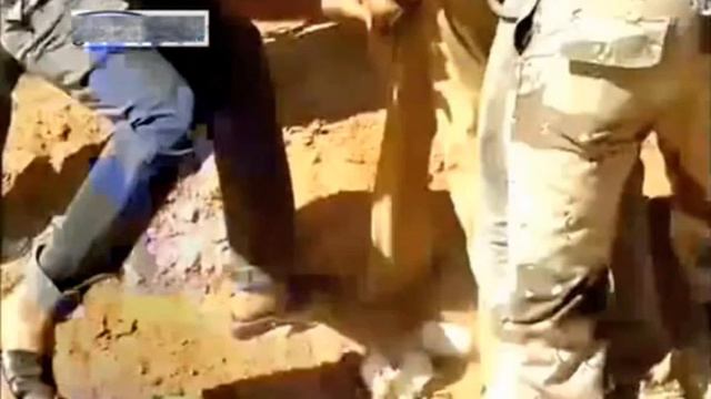 Evidences: Gaddafi Brutal Sodomized With A Wooden Stick ... Fall Of Muammar & Fall Of Libya ..