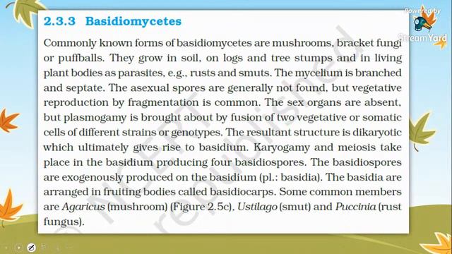 Biological Classification|NCERT highlight series| NEET 2023|Biopoint Jwala Batch смотреть онлайн