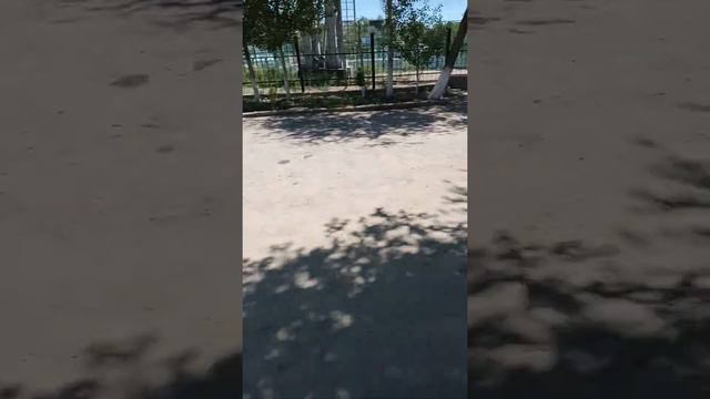 Қызылорда. Облыстық СЭД (СЭС) Жауапкершілік қайда? смотреть онлайн