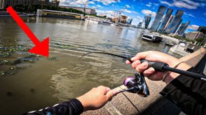 ПОЛУЧИЛ ШТРАФ и СНОВА ПРИШЕЛ в ЭТО МЕСТО на РЫБАЛКУ / ПЕРВЫЙ ГОЛАВЛЬ в КАМЕННЫХ ДЖУНГЛЯХ