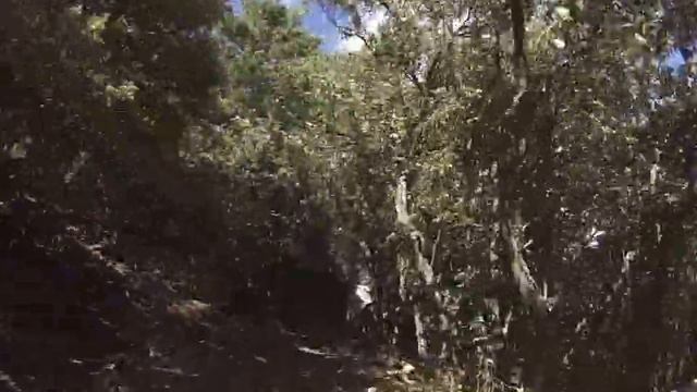 JUAN-ITO en Prades con Enduro EBike Madrid_0381 смотреть онлайн